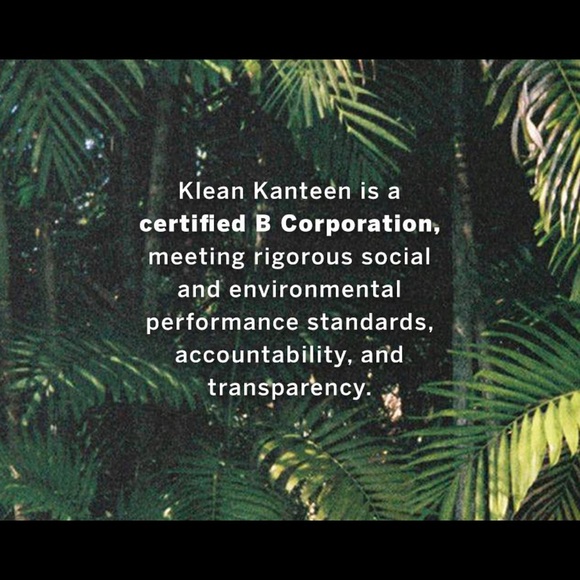 VS PINK Green Earth Day BE KIND TO THE PLANET Klean Kanteen Water Bottle - Picture 4 of 7